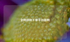 全网自助下单平台官网