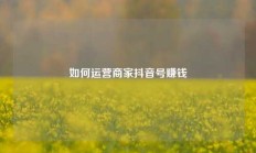 如何运营商家抖音号赚钱