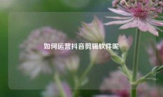 如何运营抖音剪辑软件呢