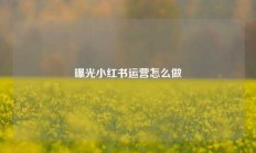 曝光小红书运营怎么做