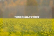 如何查询抖音点赞的数量