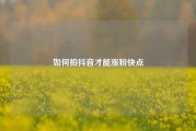 如何拍抖音才能涨粉快点