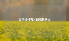 如何拍抖音才能涨粉快点