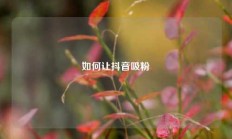 如何让抖音吸粉