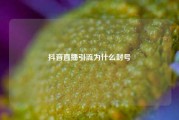 抖音直播引流为什么封号