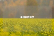 美拍刷赞精灵