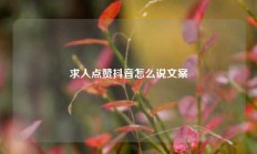 求人点赞抖音怎么说文案