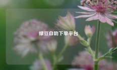 绿豆自助下单平台