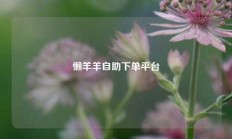 懒羊羊自助下单平台