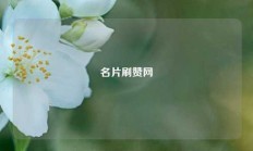 名片刷赞网