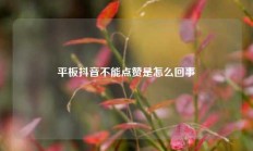 平板抖音不能点赞是怎么回事