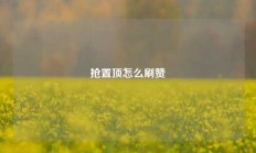 抢置顶怎么刷赞