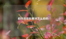 拍抖音吸粉素材怎么拍的