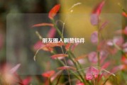 朋友圈入刷赞软件