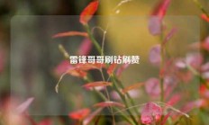 雷锋哥哥刷钻刷赞