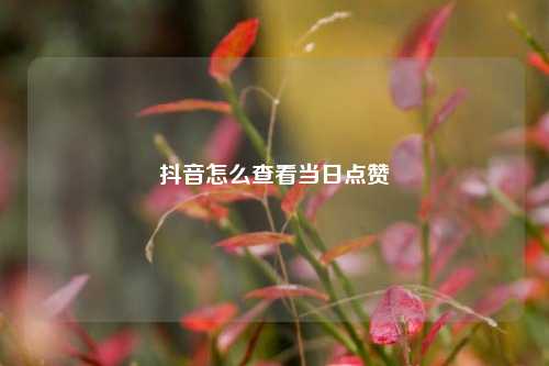 抖音怎么查看当日点赞