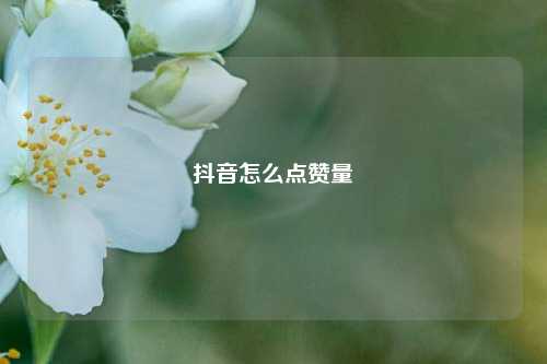 抖音怎么点赞量