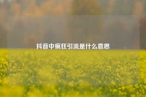抖音中疯狂引流是什么意思