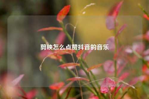 剪映怎么点赞抖音的音乐