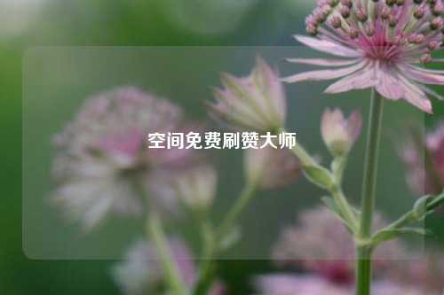 空间免费刷赞大师