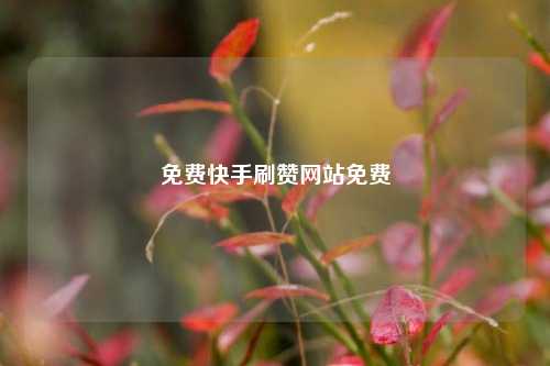 免费快手刷赞网站免费