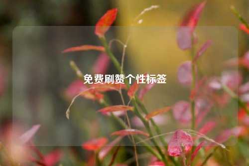 免费刷赞个性标签
