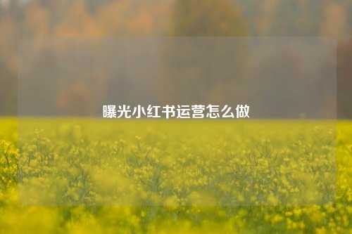 曝光小红书运营怎么做