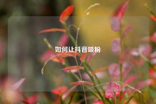 如何让抖音吸粉